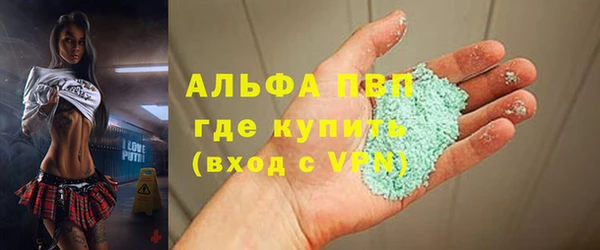 сатива Иннополис