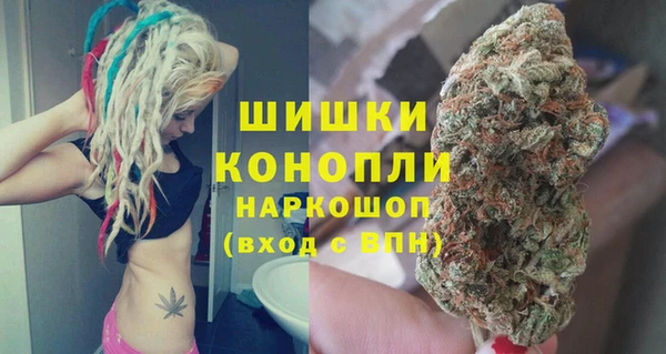 PSILOCYBIN Балахна