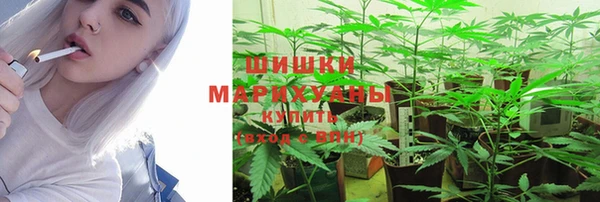 дмт Балабаново