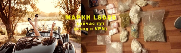 PSILOCYBIN Балахна