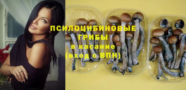 PSILOCYBIN Балахна