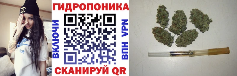 Бошки марихуана VHQ  KRAKEN ссылки  Кудымкар 